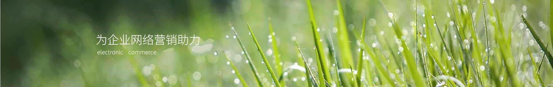 ƽԭŵ·޹˾